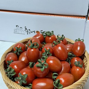 충구네도마도 대추 방울토마토 2.5kg 5kg 산지직송 당일수확