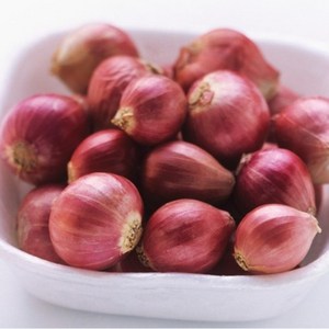 동남아야채 험댕 샬롯 태국양파 자색양파 미니양파 shallot, 1개, 1kg