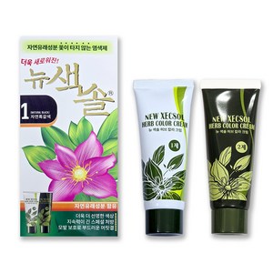 프라나 웰빙 칼라 크림 색솔 2호 옻타지 않는 염색제 70g, 2호 자연갈색, 1개