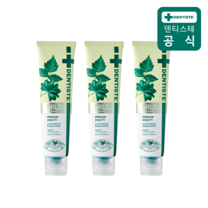 덴티스테 마일드 나이트타임 튜브형 치약, 160g, 3개