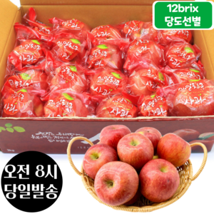 [오전8시 주문건 당일발송] 12브릭스 당도선별 세척사과 3kg (16~21입 소과)