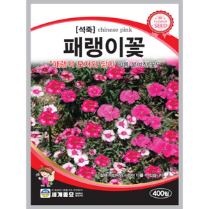 패랭이꽃 씨앗 400립 꽃씨, 1개