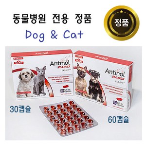안티놀 래피드 관절영양제 30캡슐, 30정, 뼈/관절강화, 1개