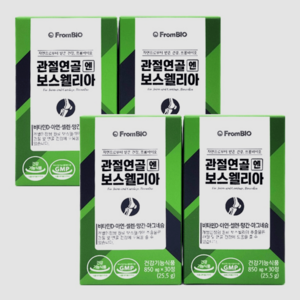 프롬바이오 관절연골엔 보스웰리아 2개월분 4박스 120정