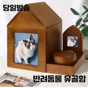 스피드라인 강아지49재 반려동물 추모꽃 1개 미니근조