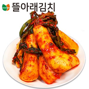 뜰아래김치 국산 총각김치, 5kg, 1개