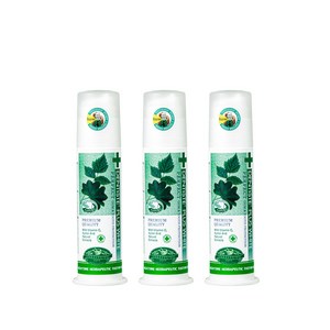 덴티스테 플러스화이트 펌프형 치약, 170g, 3개