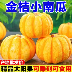 벽 단풍잎 스티커 창 인테리어 장식 호박 데코 할로윈 시트지 추수감사절 유리 포인트 벽지, 1.5kg (깨짐주의)