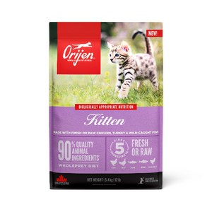 오리젠 고양이 키튼/자묘용, 닭+칠면조, 340g, 1개