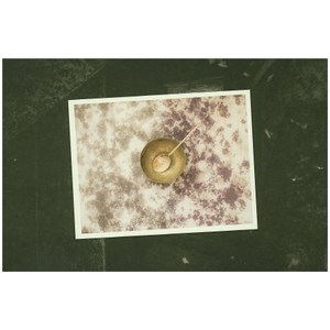 기억흔적(Traces of Memory), 이안북스, 윤길중 저