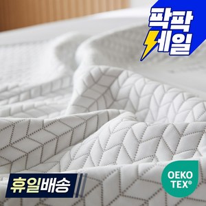 한일의료기 프리미엄 쿨 냉감패드, 화이트 이글루, 쿨매트