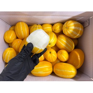 성주참외100% 못난이 산지직송, 1박스, 5kg