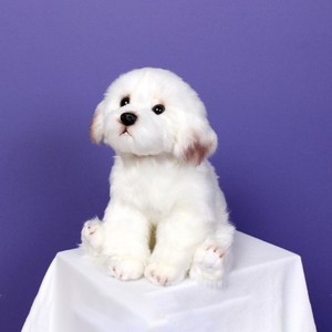 위더펫 리얼 동물 인형 말티즈 강아지 30cm, 1개
