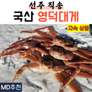 국산 영덕대게 찜대게 자숙 구룡포 포항 울진 게 대개 3마리 5마리 제철, 1박스, 대 10~10.5cm 3마리