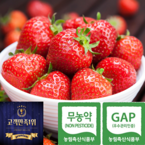 100%무농약 15brix고당도 아이간식 비타베리 딸기, 1개, 800g(특35과)