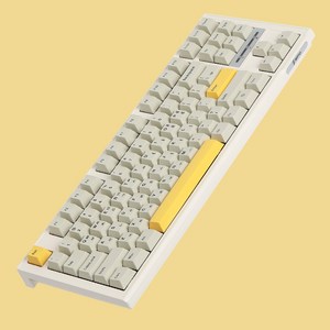 SPM PL87A PBT 바다소금 텐키리스 게이밍 기계식 키보드 (아이보리), 아이보리