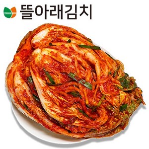 뜰아래김치 국산 배추 포기김치, 5kg, 1개