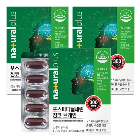내츄럴플러스 포스파티딜세린 징코 브레인 60g