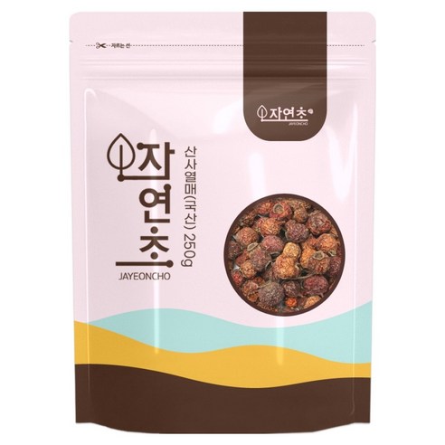 산사 산사나무 열매