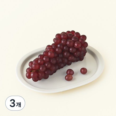 델라웨어 포도