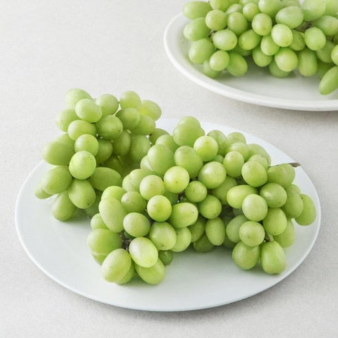칠레 청포도