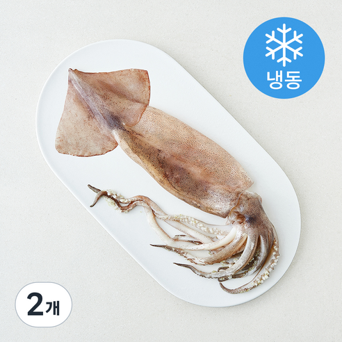 [로켓프레시] 오바다 원양산 통오징어 (냉동)