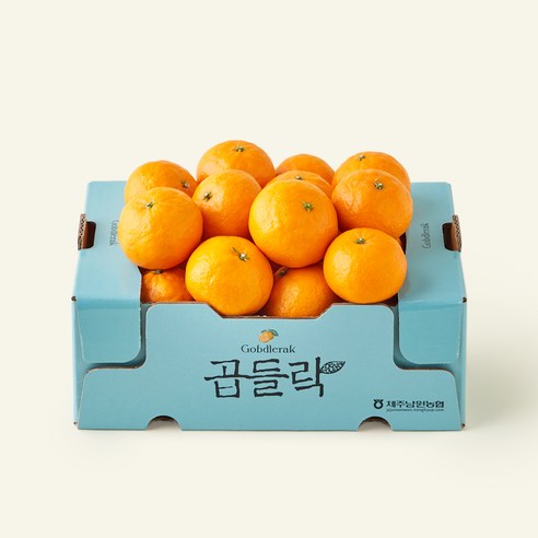 [로켓프레시] 제주 남원농협 곱들락 카라향 랜덤과