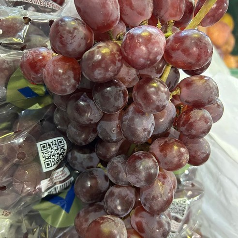 수입산 거봉 레드글로브 적포도 1kg