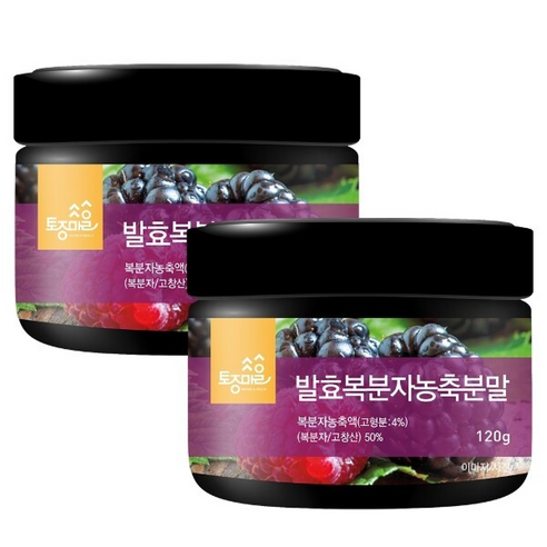 토종마을 발효복분자농축분말 국산 고창산, 120g, 2개