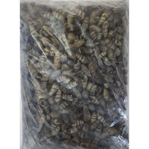 냉동 자숙 갯고동 1kg 갯고둥 바다고동 올갱이  바다다슬기