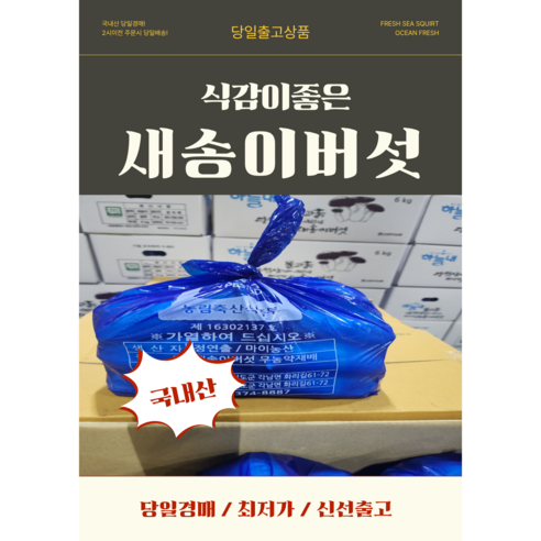 국내산 새송이버섯 2kg / 신선채소 / 구이용 찌개용, 1개, 콩알1번 2kg