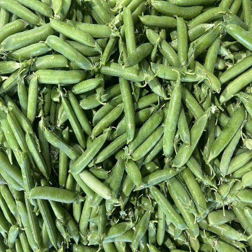 늘푸른농산 산지직송 노지재배 껍질 햇 완두콩, 1kg, 1박스