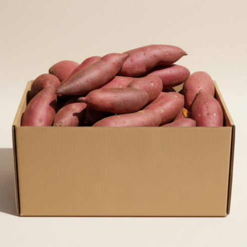 레드이츠 세척 프리미엄 해남 고구마 꿀고구마, 1박스, 대 10kg (300g이상)