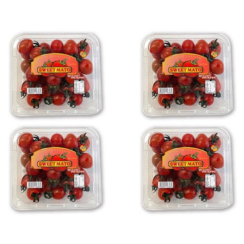 스테비아대추방울토마토 망고향 스윗마토