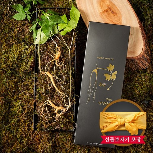 [명품산삼] 강원도 토종 산양삼 선물세트 5~6년근 (4뿌리)