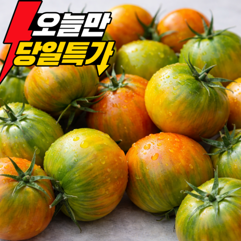 [오늘의특가] 고당도 부산 대저토마토 짭짤이
