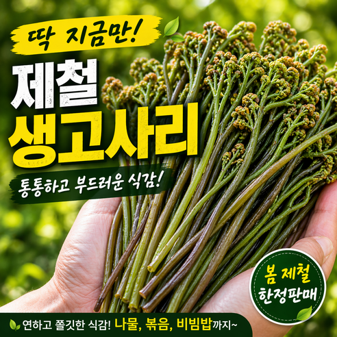 [은채담] 국산고사리 생고사리 햇고사리 봄나물고사리, 1박스, 1kg