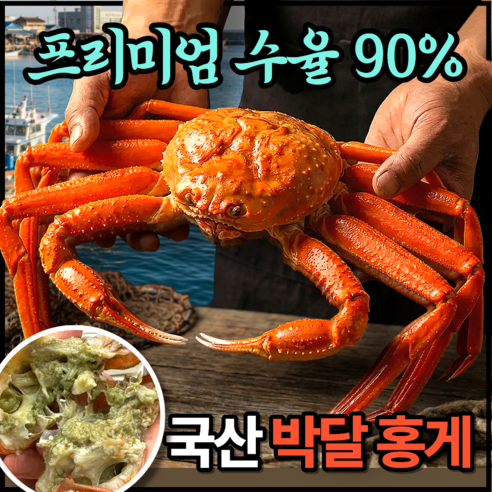 [진토백미] 박달홍게 최상급 자숙 홍게 수율90% 선주직접 당일직송