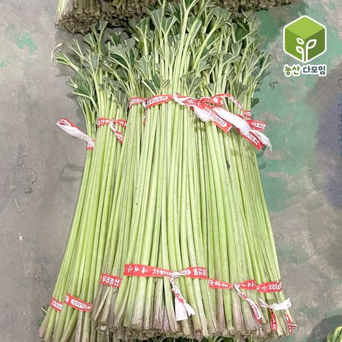 국내산 햇 머구대 머위대 4kg, 2개
