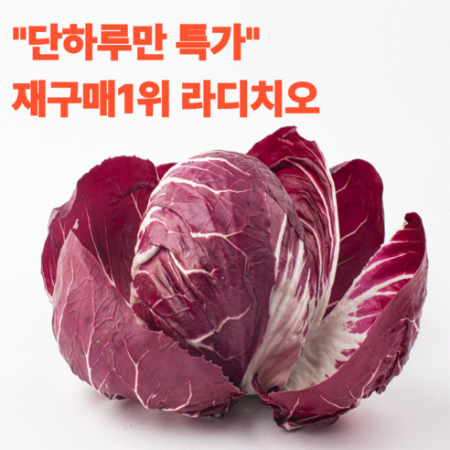 [재구매1위] 라디치오 프리미엄 특품