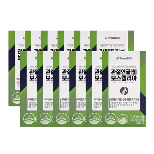 프롬바이오 관절연골 엔 보스웰리아 25.5g