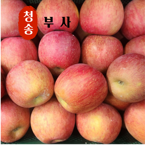 사과 당도선별 청송사과 고산지 부사사과, 1박스, 10kg (가정용)