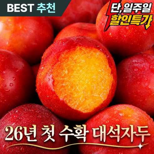 [26년첫출하] 산지직송 새콤달콤 고당도 하우스자두