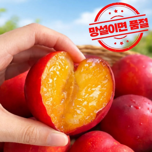 [선착순예약판매] 백화점마트납품  임산부입덧 하우스자두 햇자두