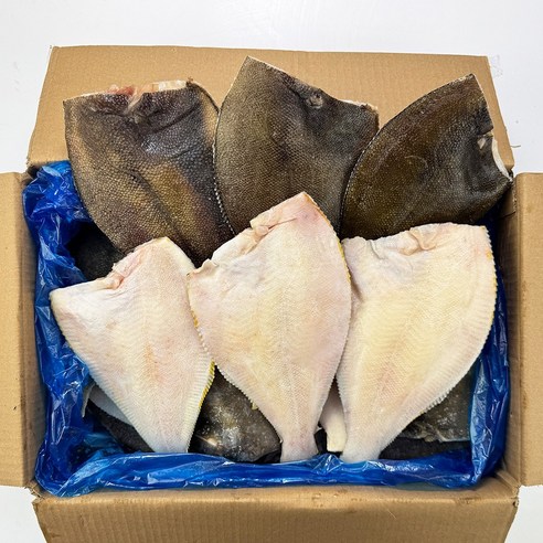 해물총각 두뚬하고 깔끔하게 손질된 가자미(150-200)