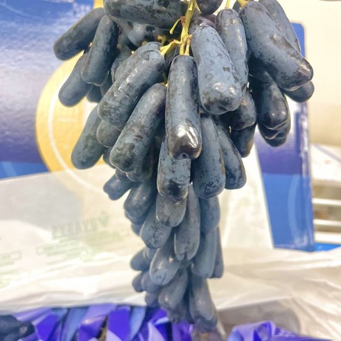 [제니네 제철과일] 산지직송 블랙사파이어 씨없는 가지포도 500g 1kg 2kg 4kg 8.2kg, 2개, 블랙 사파이어 포도 1kg