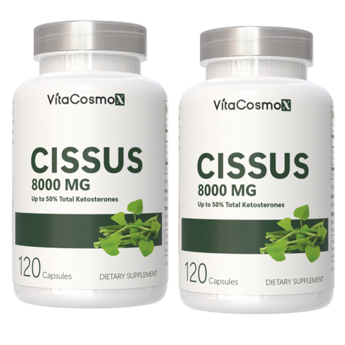 VitaCosmoX 시서스 추출물 Cissus 고함량 고농축 8000mg 케토스테론 50% 시서스 캡슐 시서스 가루 분말