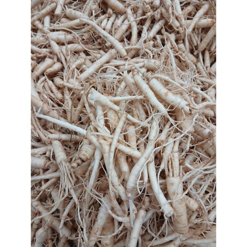 미삼 인삼뿌리 막파삼 1kg  대용량