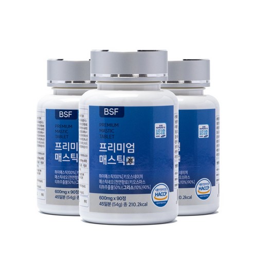 BSF 프리미엄 매스틱정 HACCP 인증 600mg x 90정