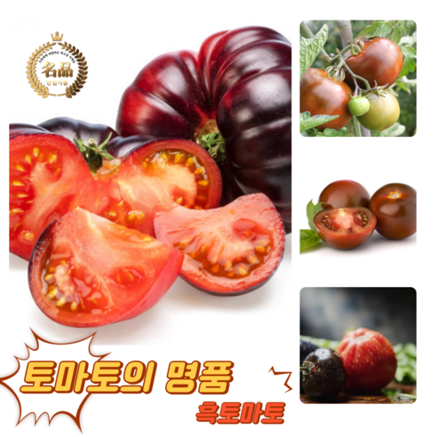 [굿피플] 흑토마토 쿠마토 토마토 방울토마토 흙토마토 스테비아흑토마토 흑방울토마토, 1박스, 흑토마토 1kg